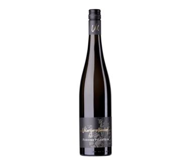 Riesling Forster Pechstein Weingut Margarethenhof Spitze
