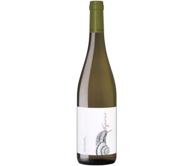 Gewürztraminer Moscatel Pago Casa Gran