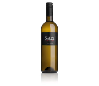 Chardonnay New Style Weingut Salzl