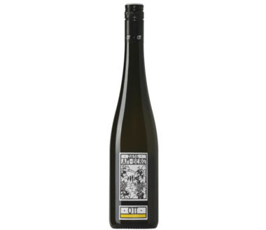 Grüner Veltliner Am Berg Weingut Bernhard Ott