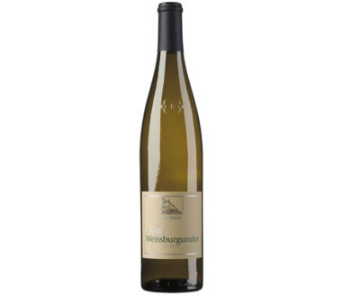 Weissburgunder DOC Tradition Kellerei Cantina Terlan